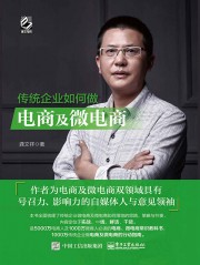 传统企业如何做电商及微电商