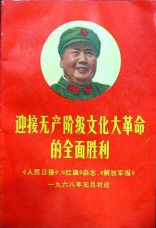 无产阶级文化大革命概述简论【简要本】