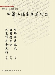 中篇小说金库系列一