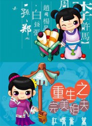 重生之完美姐夫