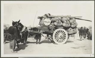 莫理循的中国档案集