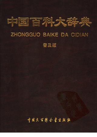 中国百科大辞典【10册】