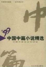 1999中国中篇小说精选