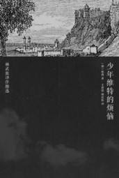 少年维特的烦恼