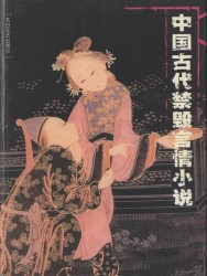 中国古代禁毁言情小说【18册】