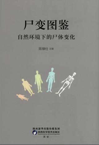 尸变图鉴：自然环境下尸体的变化