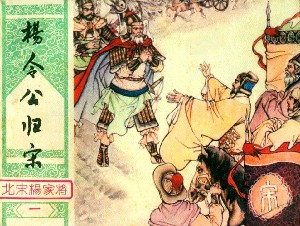 北宋杨家将【湖南版8册】