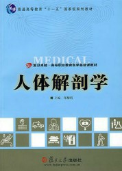 人体解剖学