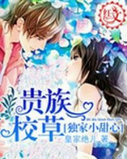 贵族校草独家小甜心