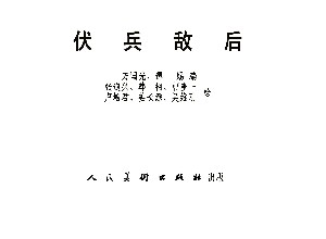 伏兵敌后