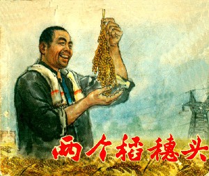 两个稻穗头 修图版