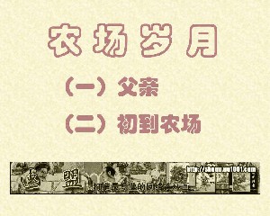 农场岁月【25册】