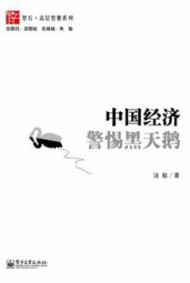 中国经济：警惕黑天鹅