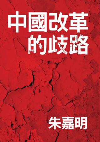 中国改革的歧路