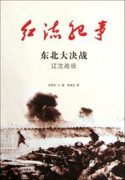 红流纪事：东北大决战、辽沈战役